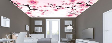 Gergi tavan kullan��l� m�?