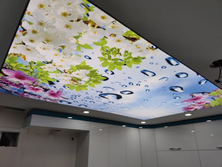 Stretch Ceiling Manufacturer & Wholesale Supplier Stretch Ceiling Systems