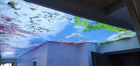 Gergi Tavan, Barisol, Germe Tavan, Gergin Tavan farklılıkları nedir? Gergi Tavan, Barisol, Germe Tavan, Gergin Tavan farklılıkları nedir?